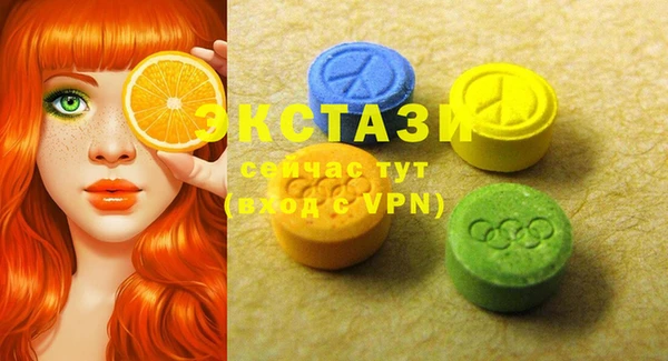 хмурый Арсеньев