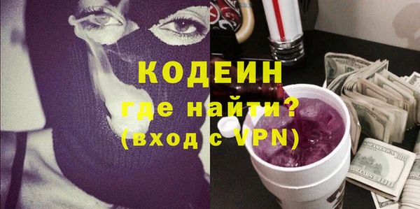 хмурый Арсеньев