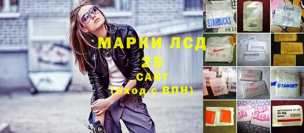 хмурый Арсеньев