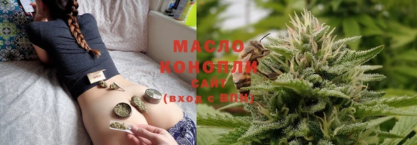 хмурый Арсеньев