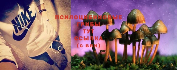 хмурый Арсеньев