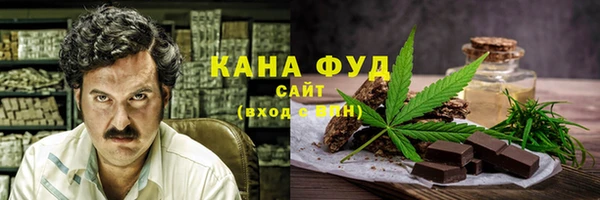 хмурый Арсеньев